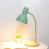 LeseLicht Pro™ | Flexible Gooseneck Metall Leseleuchte Nordic Stil Einzel Nachttischlampe mit Glockenschirm - Sintensy