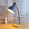 LeseLicht Pro™ | Flexible Gooseneck Metall Leseleuchte Nordic Stil Einzel Nachttischlampe mit Glockenschirm - Sintensy