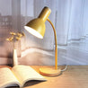 LeseLicht Pro™ | Flexible Gooseneck Metall Leseleuchte Nordic Stil Einzel Nachttischlampe mit Glockenschirm - Sintensy